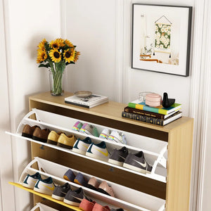 Shoe Storage Cabinet Rack for Shoe Organization with 3 Reversible Drawers